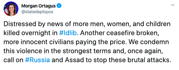 Госдеп США осудил действия России и Асада в сирийской провинции Идлиб